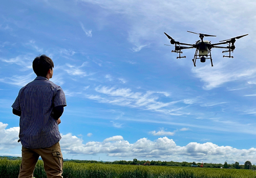 ¼õ¹Ö¤«¤é¸¡Äê»î¸³